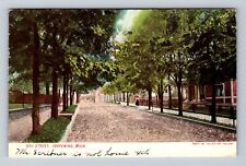 Ishpeming MI-Michigan, Scenic View Of Oak Street, Vintage c1907 Postcard picture
