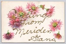 Postcard Greetings From Meriden Kansas Glitter Mica ca.1908 picture
