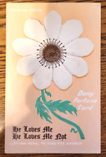 Daisy Fortune Telling Novelty Postcard Lift Petals To Find Loves Answer picture
