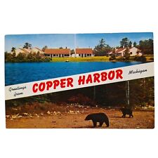Postcard Greetings From Copper Harbor Michigan Black Bears Chrome Unposted picture