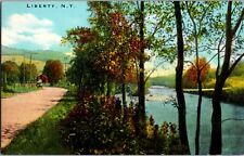 17: NEW YORK NY POSTCARD ~ C1920 ~  LIBERTY ~ SERENE VIEW picture