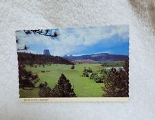 Vintage Devils Tower Wyoming Postcard picture