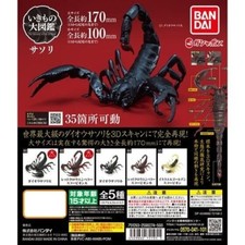 The Diversity of Life on Earth Scorpion Figure Set of 5 Bandai Capsule Toy picture