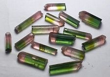 Tourmaline 24cts Terminated Bicolour Paprok Crystal Lot picture