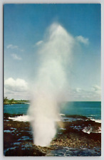 Kauai's Famed Sea-Water Geyser SPOUTING HORN - Unposted POSTCARD picture