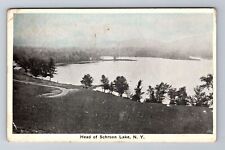 Schroon Lake NY-New York, Bird's Eye Scenic Lake View, Vintage c1922 Postcard picture