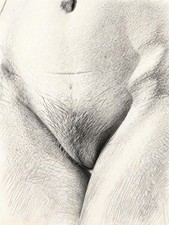 Postcard - Erotic - Woman - SEX Appeal - Standard Size - Approx 10x15 picture