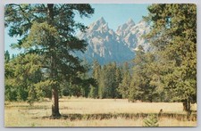 Grand Teton Peak Wyoming Vintage Postcard Intermountain Tourist Supply picture