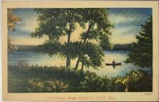 Greetings From Gibson City, Illinois Vintage Linen Lake Scene Unposted picture