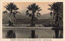 Domestic Reservoir & Orange Grove Mentone California CA 1927 Real Photo RPPC picture