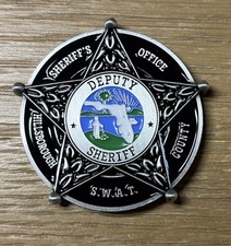 Hillsborough County (Fl) Sheriff SWAT Challenge Coin Pewter picture