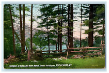 c1910s Glimpse of Echo Lake from North, Pottersville, New York NY Postcard picture