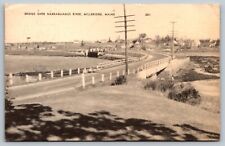 c1910's Bridge Over Narraguagus River Millbridge Maine ME Antique Postcard picture