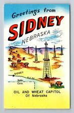 Sidney NE-Nebraska, General Greetings, Landmarks And Map, Vintage Postcard picture