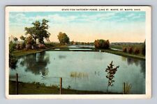 St Marys OH-Ohio, State Fish Hatchery Ponds, Lake St Marys, Vintage Postcard picture