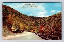 Kalkaska MI-Michigan, Scenic Greetings, Autumn Foliage, Vintage History Postcard picture