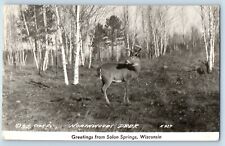 Solon Springs Wisconsin WI Postcard RPPC Photo Greetings Northwoods Deer 1946 picture