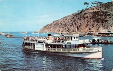 SS Phoenix Santa Catalina Island California Marine Biology Vtg Postcard B31 picture