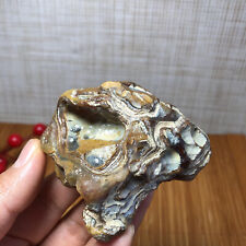 Natural Bonsai Suiseki Gobi Agate Eyes Stone-Stunning original View 119g A1151 picture