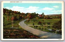 Sidney New York Country Road Forest Autumn Fall Mountain Vintage UNP Postcard picture
