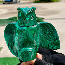 1.17LB Natural glossy Malachite Crystal Handcarved owl mineral sample picture