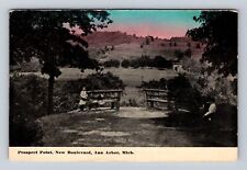 Ann Arbor MI-Michigan, Prospect Point, New Boulevard, Vintage Souvenir Postcard picture