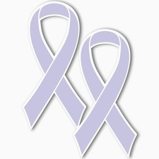 Magnet Me Up Esophageal and Stomach Cancer Awareness Ribbon 3.5x7 Inches, 2 Pack picture