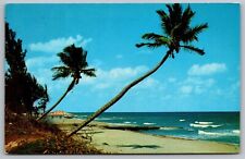 Whispering Palms Florida Coast Shore Ocean Beach Shoreline Oceanfront Postcard picture