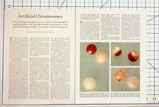 Artificial Chromosomes Science Article Murray Szostak Genetic Engineering picture
