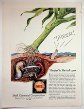 Shell Chemical 1957 Print Advertisement 8x11 Corn Rootworm Pest Control picture