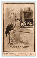 1910 Ocean Park CA Welcome Stork Bringing Baby Paternity Postcard picture