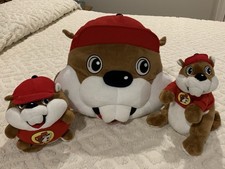 Lot Of 3 Buc-ee’s Plush - 15” Pillow/11” Beaver/8” Bucky Beaver Ball JAAG picture