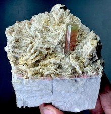 Watermelon Tourmaline Crystal Embedded in Matrix specimen from Afghanistan picture