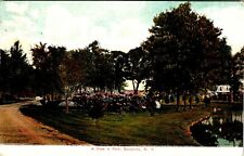 A View In Park Boonville New York Posted Divided Back Vintage Postcard picture