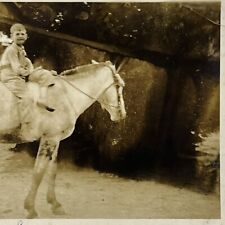 Unusual Weird ID’d Boy On Horse Damaged Snapshot Blurry Vintage Photo Anomaly picture