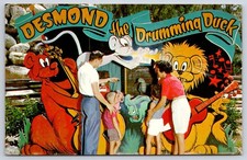 Desmond the Drumming Duck Animal Behavior Florida deer ranch 1960s picture