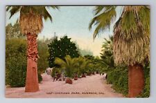Riverside CA-California, Chemawa Park, Antique, Vintage Souvenir Postcard picture
