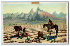 The Mystic Maze Of The Mojave Indians Needles CA Fred Harvey Phostint Postcard picture