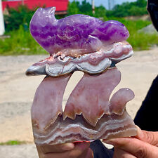 478G Natural Dream Amethyst Hand Carved parrot Pattern Care picture