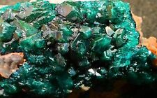 GREAT DIOPTASE 100G 8 X 5 X 3 CM FROM LIKASI, CONGO picture