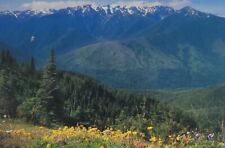 Olympic National Park Scenery Port Angeles WA Postcard picture
