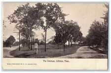 1907 The Common Trees Scene Littleton Massachusetts MA Posted Vintage Postcard picture