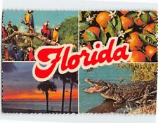 Postcard Florida USA picture