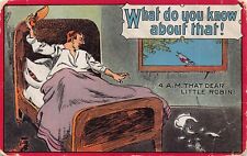 Dwig Comic Postcard What Do You Know About That Robin Waking Man Artist Signed picture