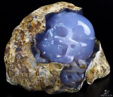 Amazing Gemstone 8.4 Blue Chalcedony Carved Crystal Skull With Snake Sculpture picture