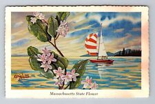 Mayflower, Massachusetts State Flower, Ken Haag, Antique, Vintage Postcard picture