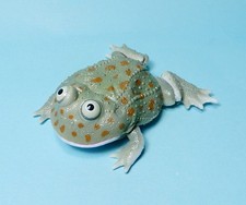 Bandai The Diversity of Life on Earth Dark Budgett's frog movable figure New picture