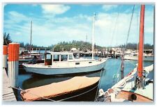 c1950's Dania Beach Yacht Basin Docking Boats Wharf Dania Florida FL Postcard picture