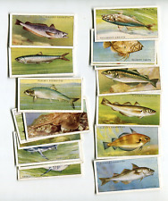 1935 JOHN PLAYER & SONS CIGARETTES SEA FISHES 50 DIFFERENT TOBACCO CARD SET picture
