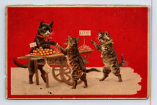 Postcard Anthropomorphic Cats Fruit Street Vendor Embossed picture